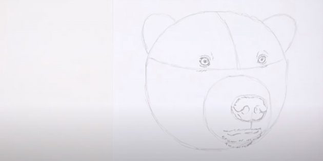 Как нарисовать медведя: Нарисуйте подбородок