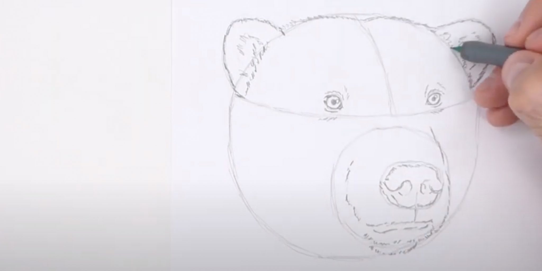 Как нарисовать медведя детализировано