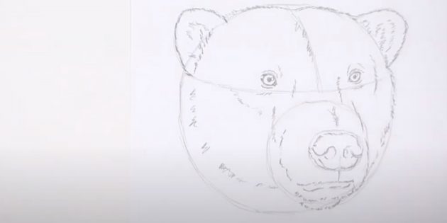 Как нарисовать медведя: Нарисуйте шерсть на морде