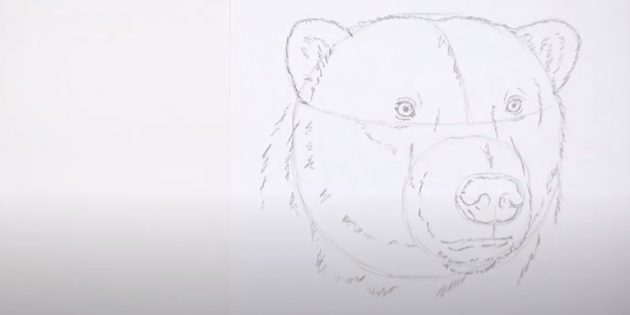 Как нарисовать медведя: Изобразите шерстяной «воротник»