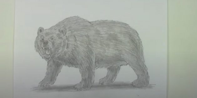 Реалистичный бурый медведь