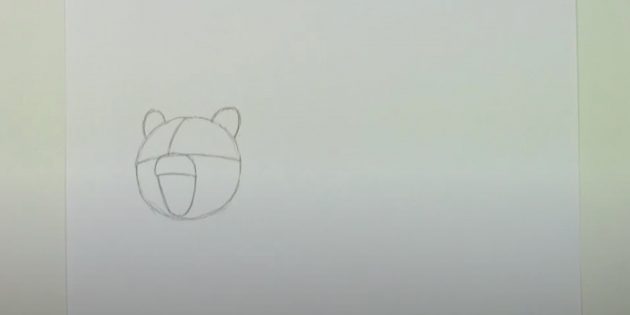 Как нарисовать медведя: Наметьте уши