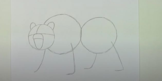 Как нарисовать медведя: Наметьте задние лапы