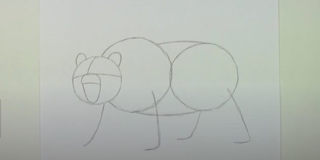 Как нарисовать медведя: Соедините круги