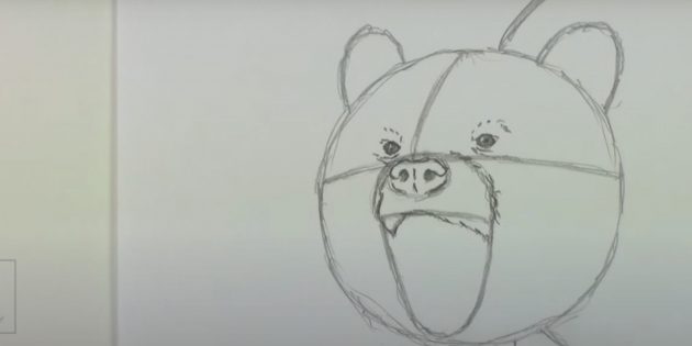 Как нарисовать медведя: Прорисуйте контур морды