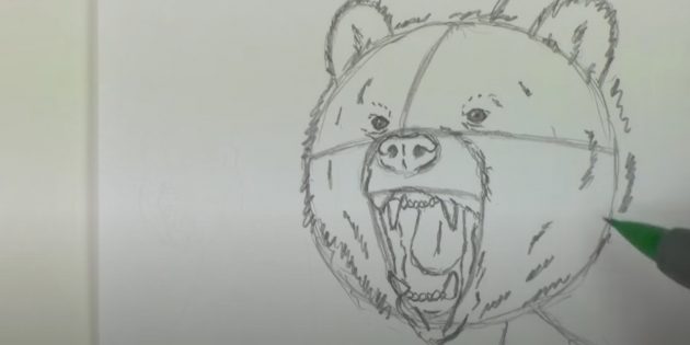 Как нарисовать медведя: Обозначьте шерсть