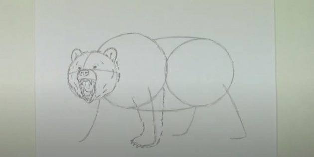 Как нарисовать медведя: Прорисуйте лапу