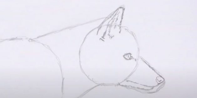 Как нарисовать лису: Прорисуйте ухо