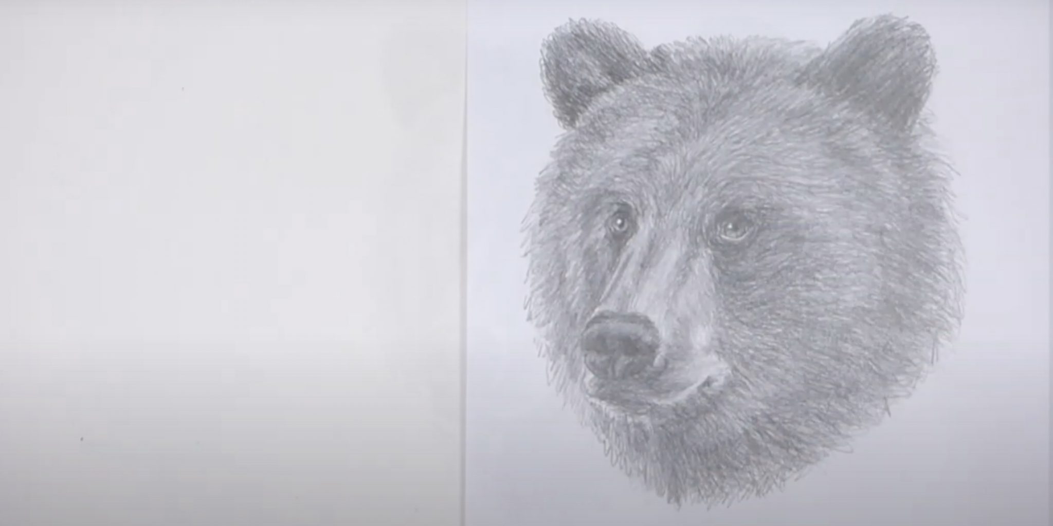 Нарисовать медвежонка Леснова лежащего красками с тенями