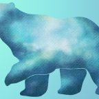 Как нарисовать медведя: 22 интересных способа
