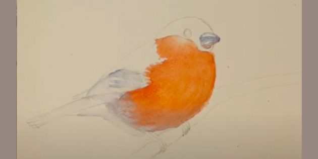 Как нарисовать снегиря: добавьте тон клюва и крыла