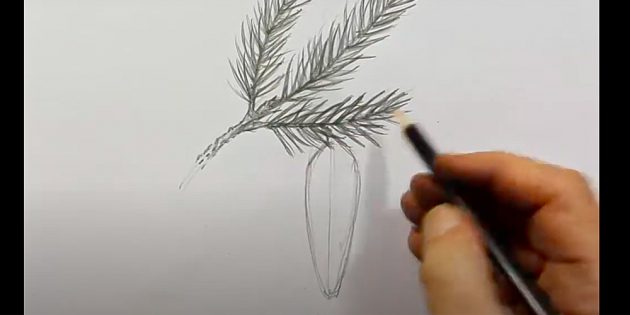 Как нарисовать шишку: нарисуйте контур шишки