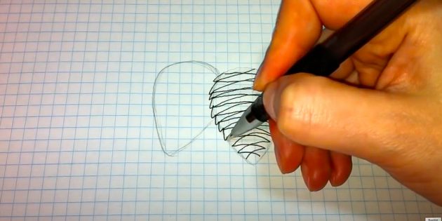 Как нарисовать шишку: нарисуйте чешуйки слева