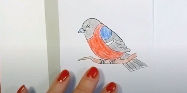 Как нарисовать мультяшного снегиря цветными карандашами