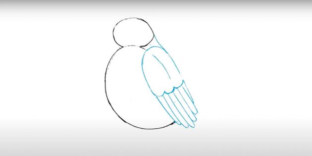 Как нарисовать снегиря: добавьте крыло