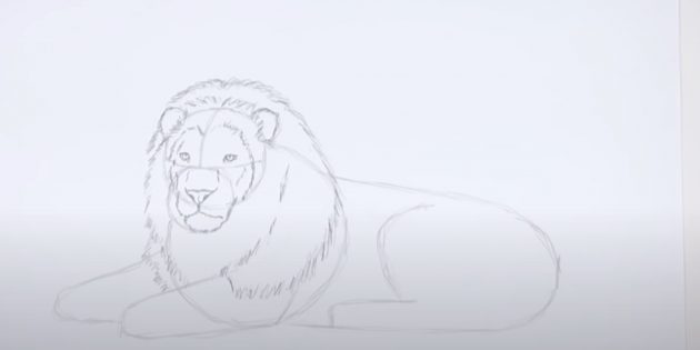 Как нарисовать льва: Нарисуйте гриву