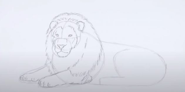 Как нарисовать льва: Детализируйте передние лапы