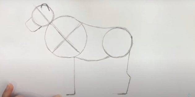 Как нарисовать льва: Наметьте лапы