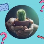 Как правильно ухаживать за кактусом?