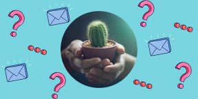 Как правильно ухаживать за кактусом?