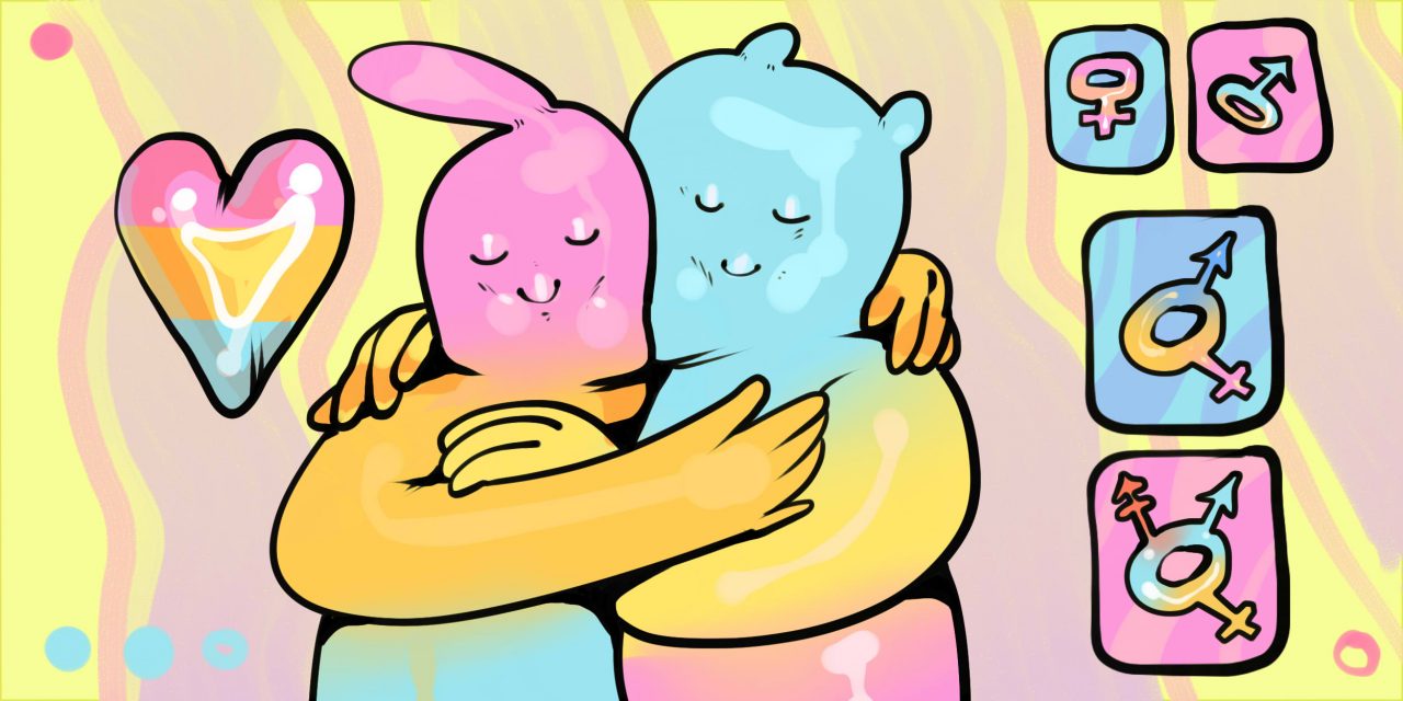 Who are pansexuals and what else should be known about them?