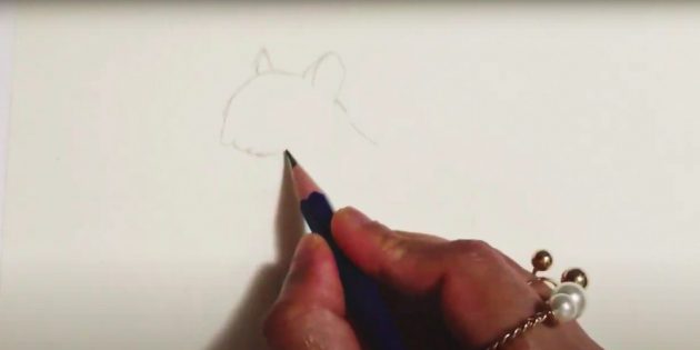 Как нарисовать белку: нарисуйте голову