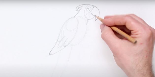 Как нарисовать попугая: Нарисуйте хохолок и крыло