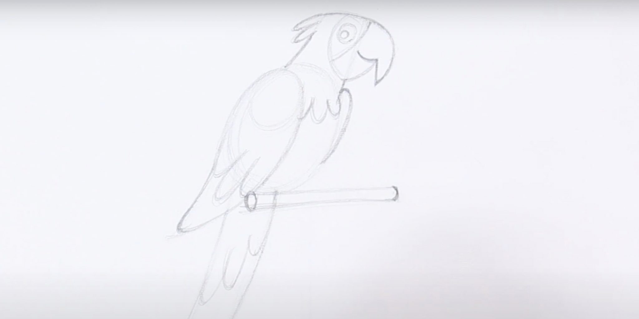 Поэтапное рисование попугая для детей