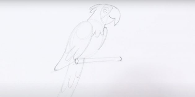 Как нарисовать попугая: Нарисуйте жёрдочку 