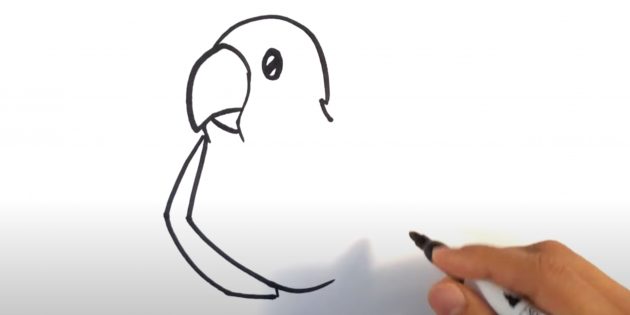 Как нарисовать попугая: Нарисуйте крыло слева