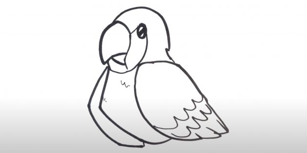 Как нарисовать попугая: Обозначьте перья