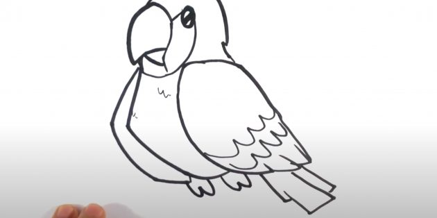 Как нарисовать попугая: Нарисуйте лапы и хвост