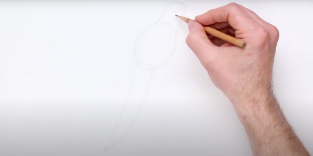 Как нарисовать попугая: Наметьте контуры тела, головы и хвоста
