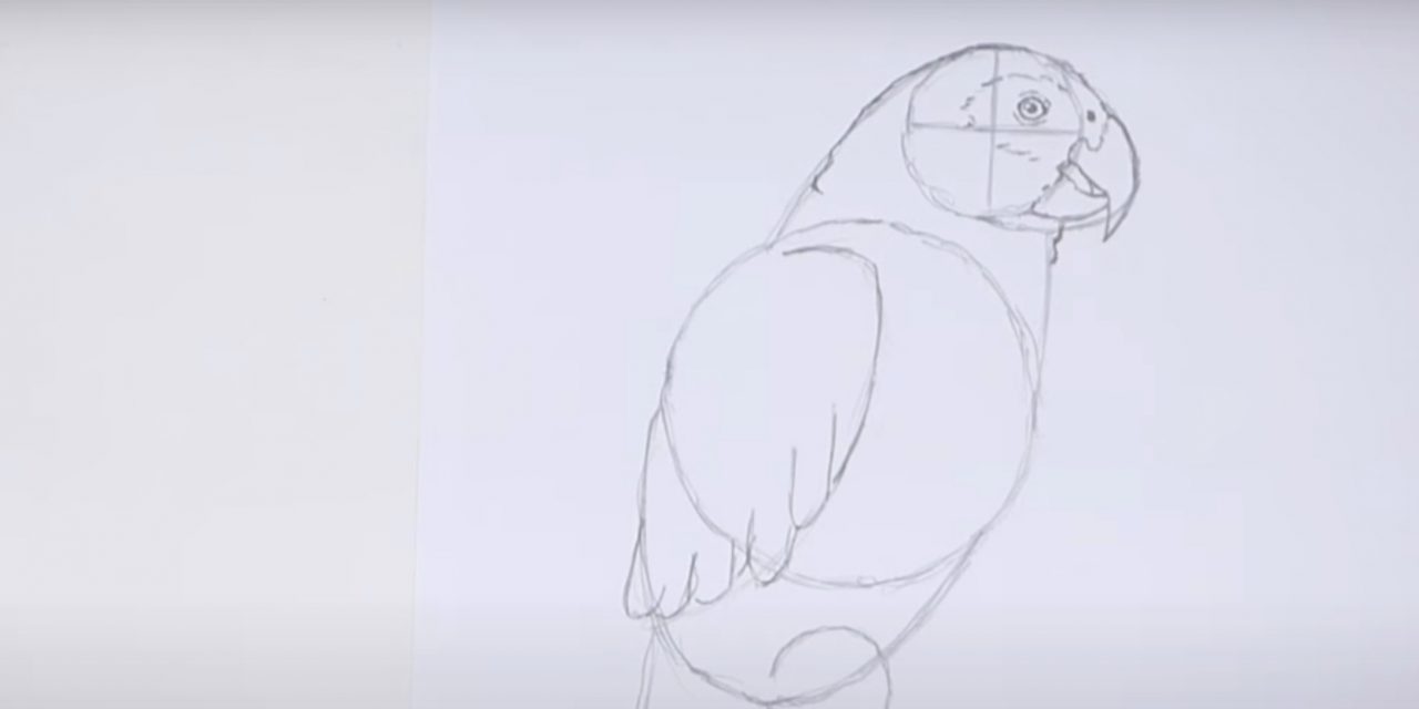 Нарисованный попугай пародия на немецкого орла