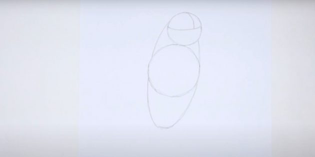 Как нарисовать попугая: Наметьте шею и дугу