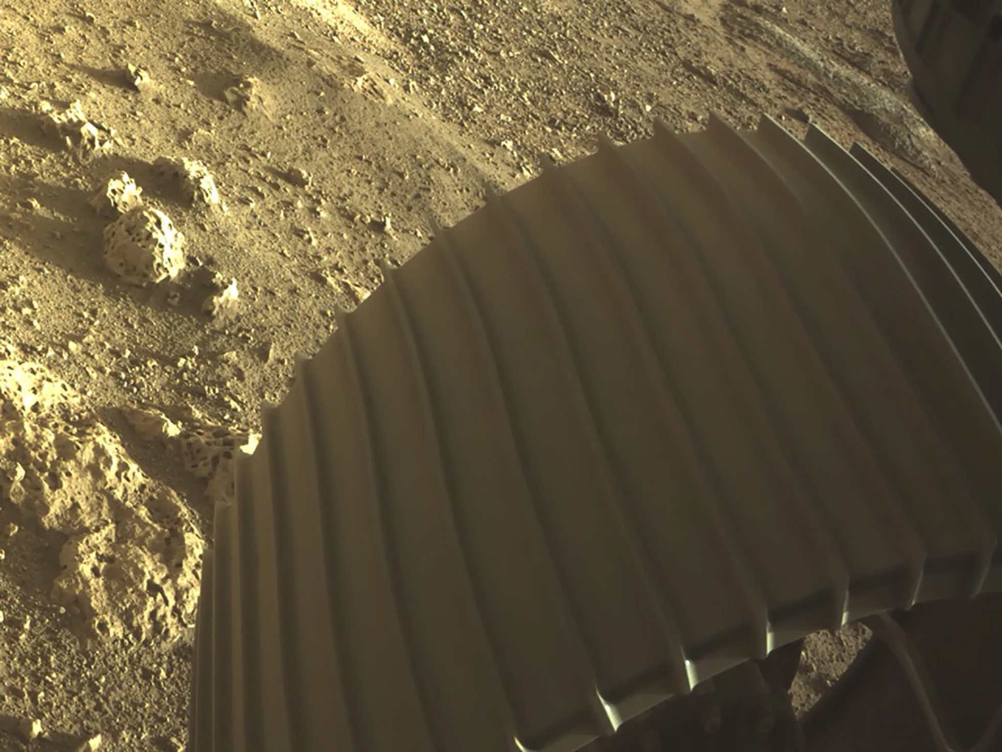 NASA показало цветные фото с Марса, снятые ровером Perseverance