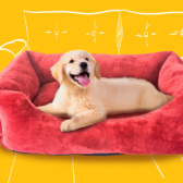 Что обязательно нужно сделать тем, кто решил завести щенка