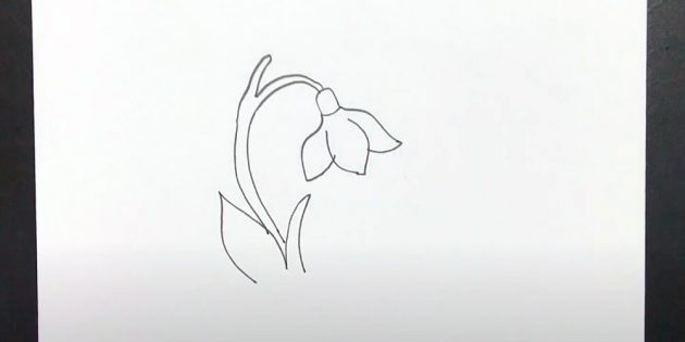 Рисунок подснежников простым карандашом или чёрным фломастером