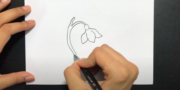 Как нарисовать подснежники: Нарисуйте вторую сторону стебля
