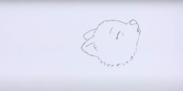 Как нарисовать волка: Дорисуйте голову