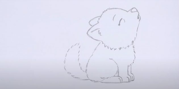 Как нарисовать волка: Нарисуйте лапу, спину и хвост