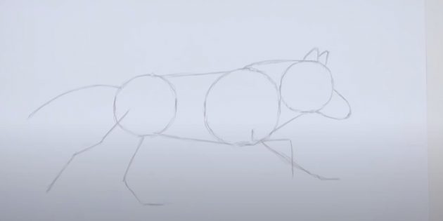 Как нарисовать волка: Наметьте лапы, спину, шею и хвост