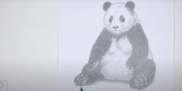 Рисунок реалистичной сидящей панды