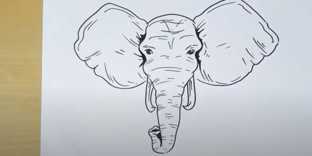 Как нарисовать реалистичную голову слона: готовая работа