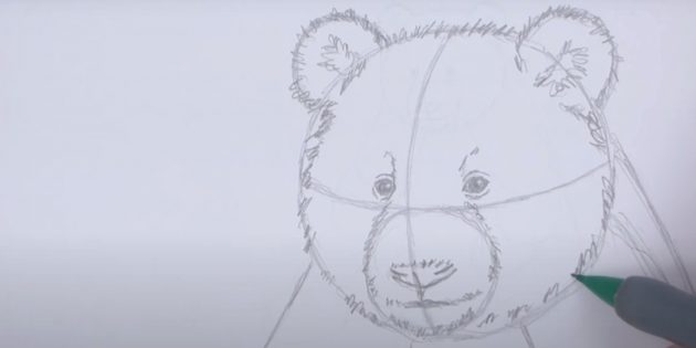 Как нарисовать панду: Детализируйте голову