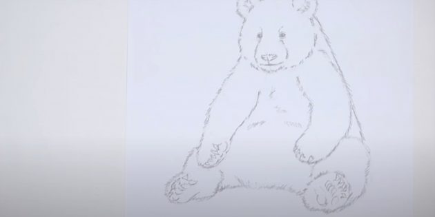 Как нарисовать панду: Прорисуйте задние лапы
