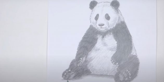 Как нарисовать панду: Добавьте лёгкие штрихи и тень