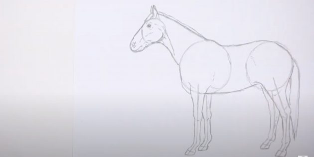 Как нарисовать лошадь: Обведите тело и прорисуйте хвост