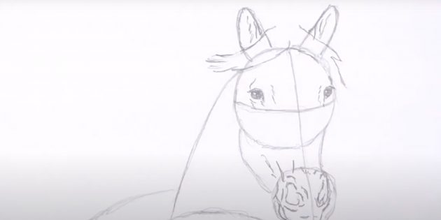 Как нарисовать лошадь: Прорисуйте уши и гриву