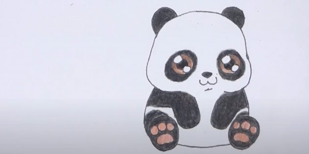 Как нарисовать панду: Раскрасьте рисунок